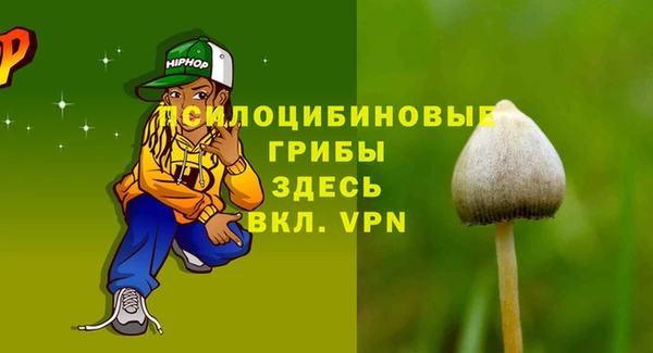мдма Богданович