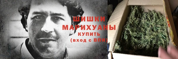 бошки Бронницы