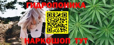 трава Моздок
