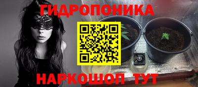 МДМА Можга